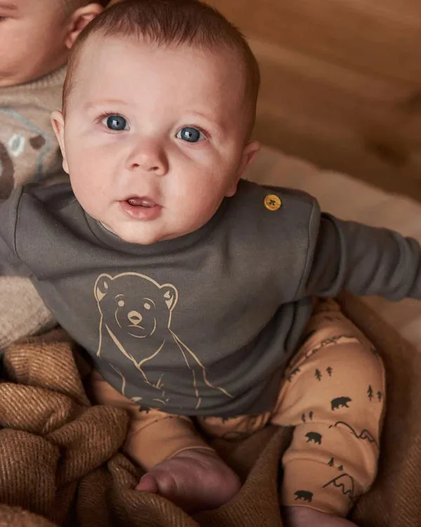 DPD Bear Sweatshirt and Mountain Jogger Set